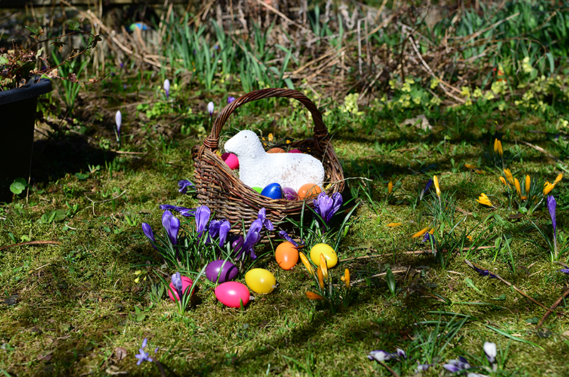 Vorlesehighlight am 16. April