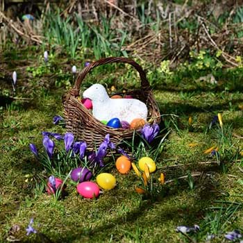 Vorlesehighlight am 16. April